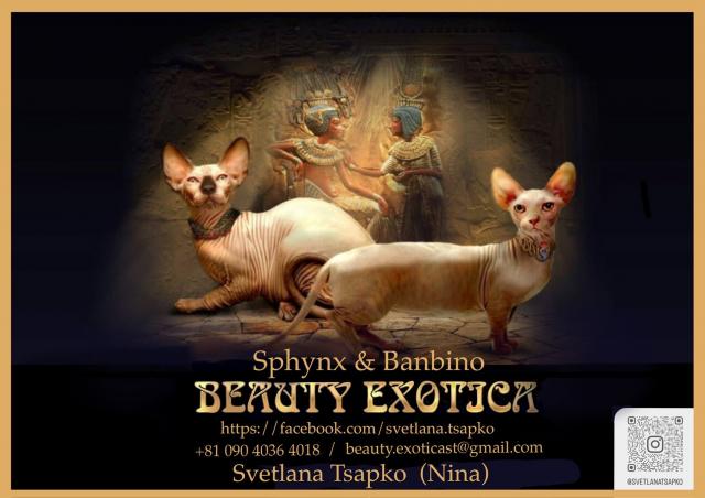BEAUTY EXOTICA 