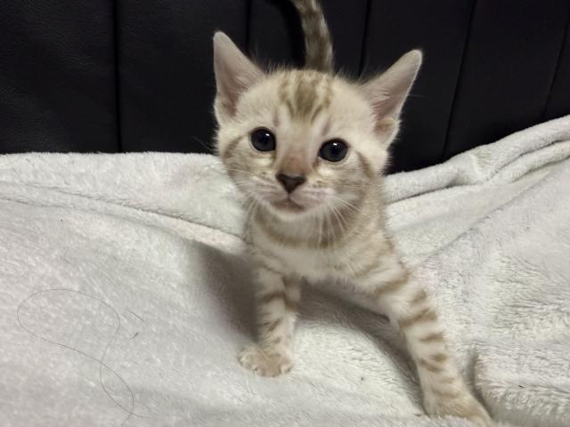 すくすく成長ㄘゅ💋