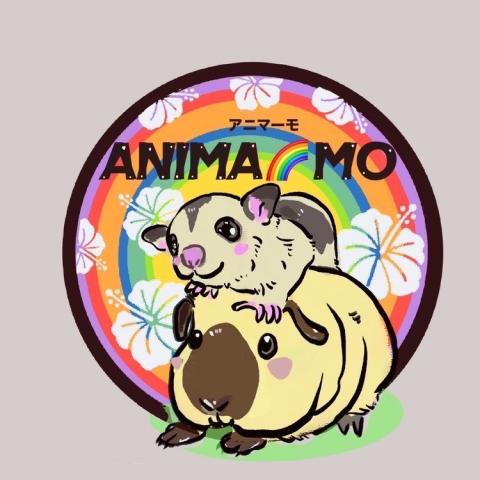 ANIMA🌈MO