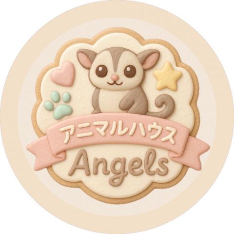 アニマルハウス　Angels