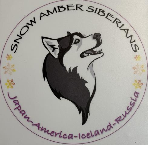 SNOW AMBER