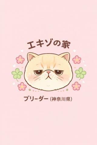 エキゾの家