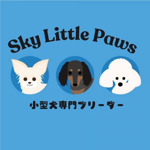 Sky Little Paws