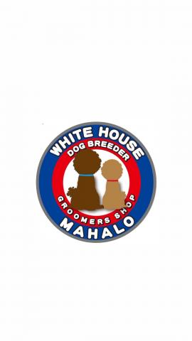 WHITE HOUSE株式会社