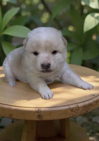 可愛い💞男の子です❣️