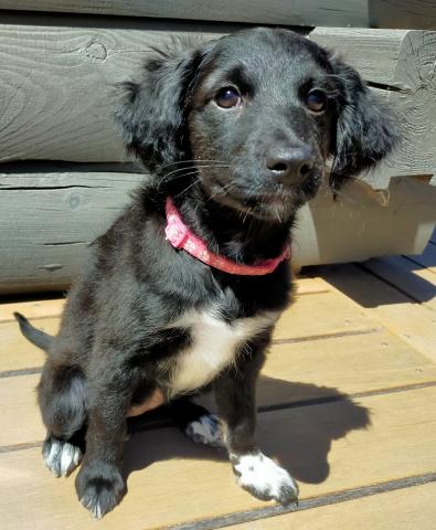 MIXボードゥードル：マリ