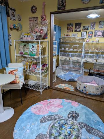 Animal Paradise Lea Lea