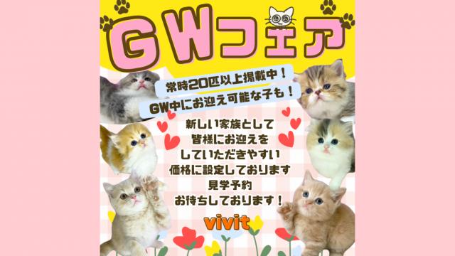 キャッテリーＶＩＶＩＴ