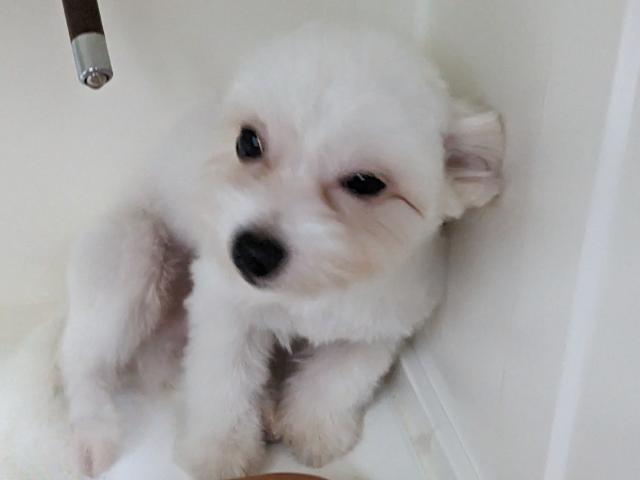 MIX・・コミコミ価格！