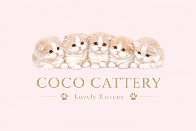 COCO CATTERY