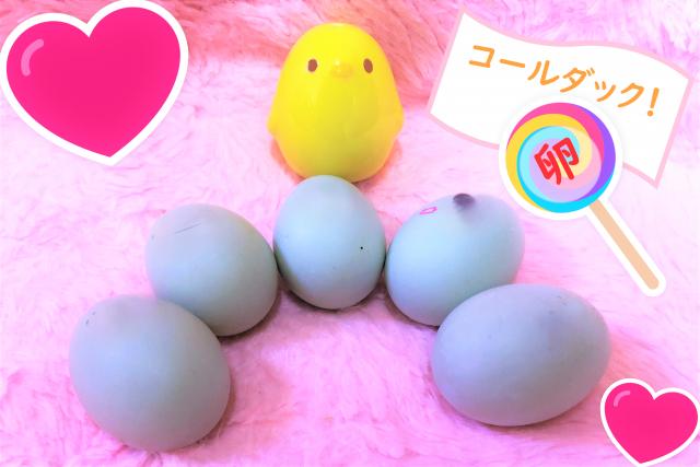 コールダック卵２個セット（送料無料）