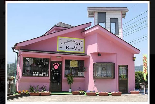 わんにゃんはうすK-9