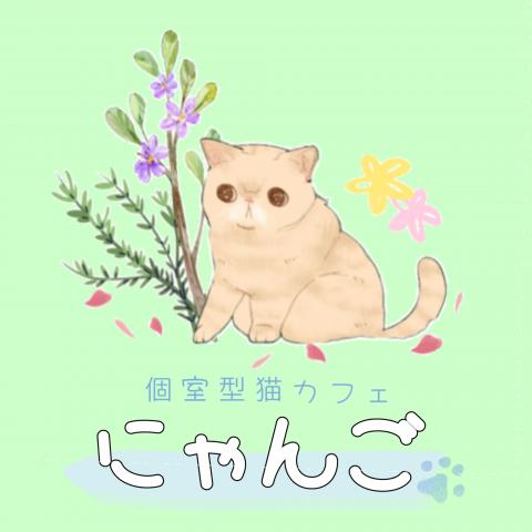 個室型猫カフェにゃんご 平塚店