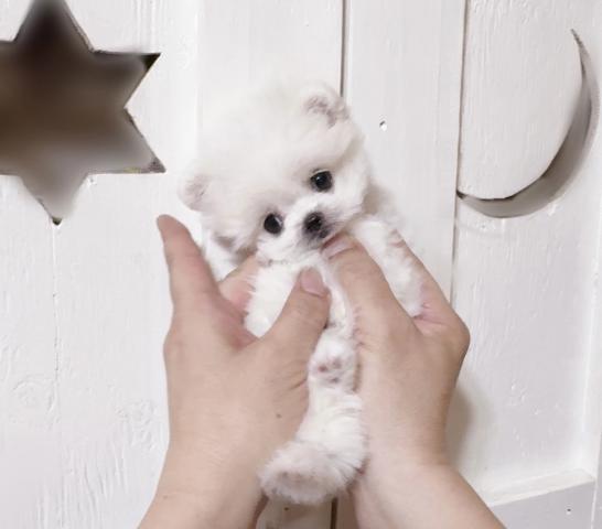 MIX❤️めっちゃ可愛い可愛いボクです❤️