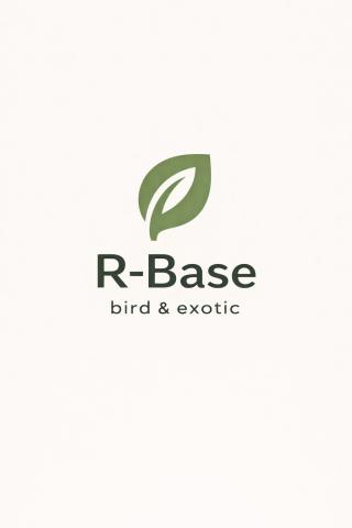 R-Base
