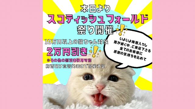 キャッテリーＶＩＶＩＴ