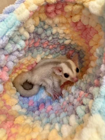 クリミノhetリューシ