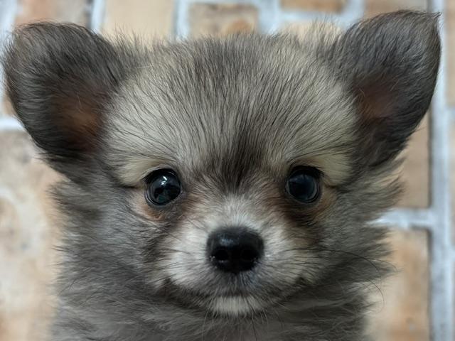 MIX
