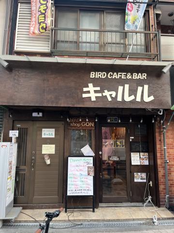 バードショップゴン　(鳥カフェキャルル)