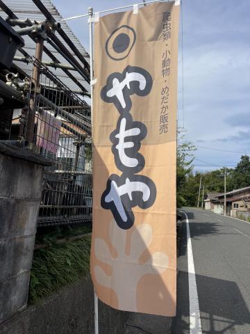 やもや