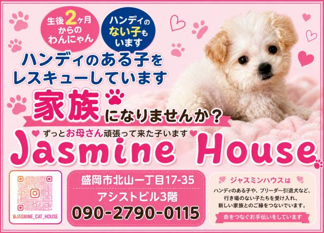Jasmine house