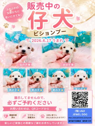 MIXビションプー