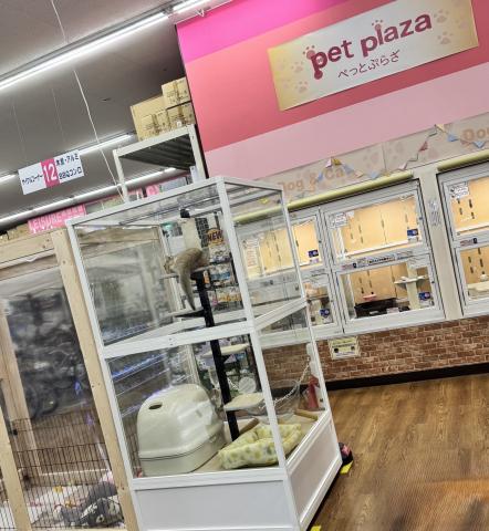 ペットプラザ大東御領店