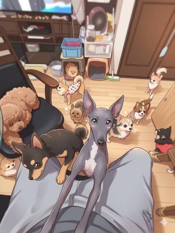 ライアン犬舎