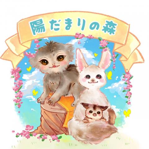 陽だまりの森