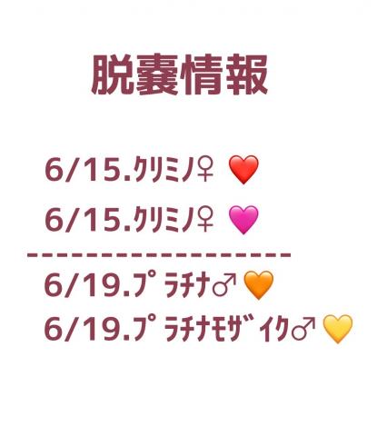 脱囊情報