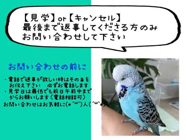 お問い合わせのその後についてお願い