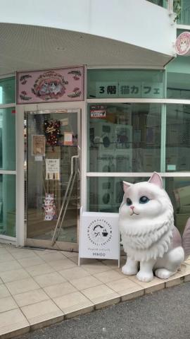 mihooラグドール専門猫舎