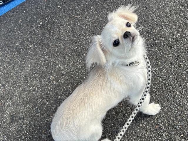 MIX