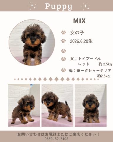 MIX
