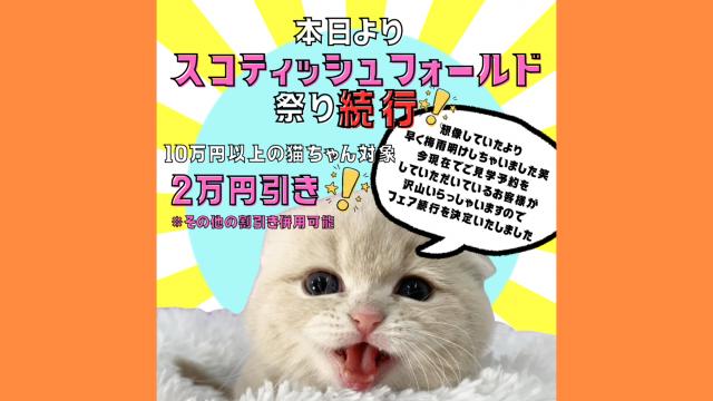 キャッテリーＶＩＶＩＴ