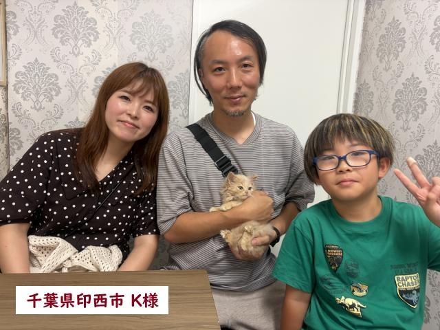 サイベリアン💕猫アレルギー有る方にお勧め猫種💕