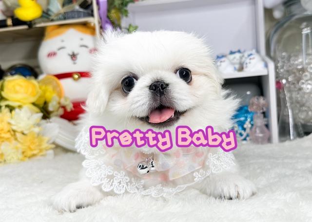 PrettyBaby