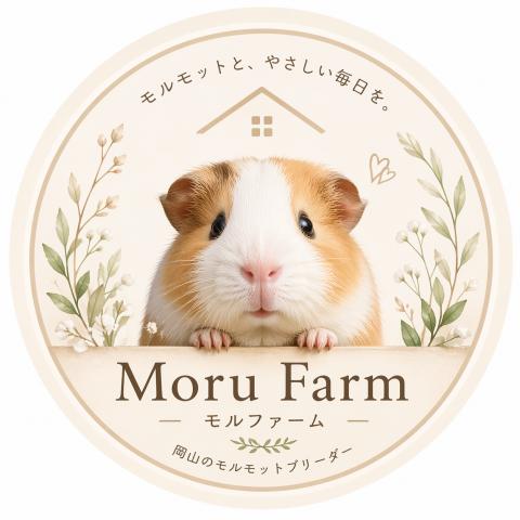 モルファーム