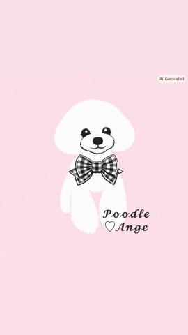 Poodle ♡ Ange　