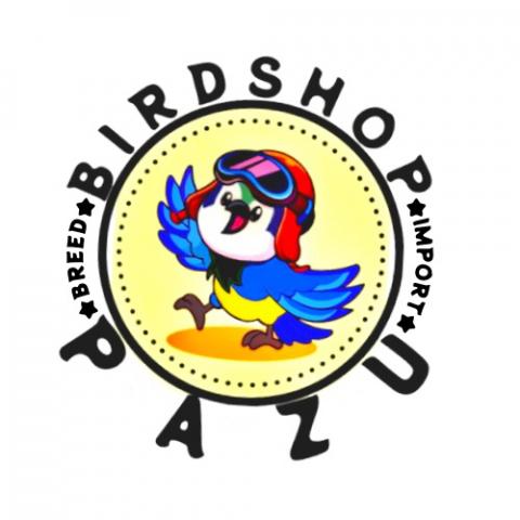 BIRD SHOP PAZU