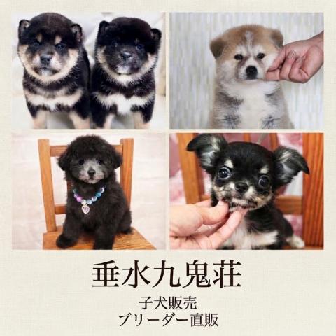 垂水九鬼荘