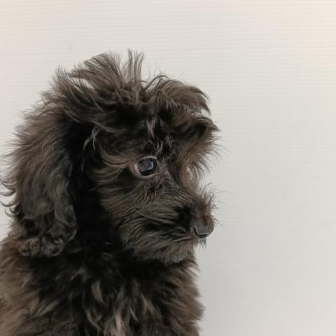 MIXの写真5
