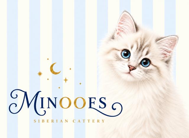 サイベリアン専門キャッテリーMINOOES