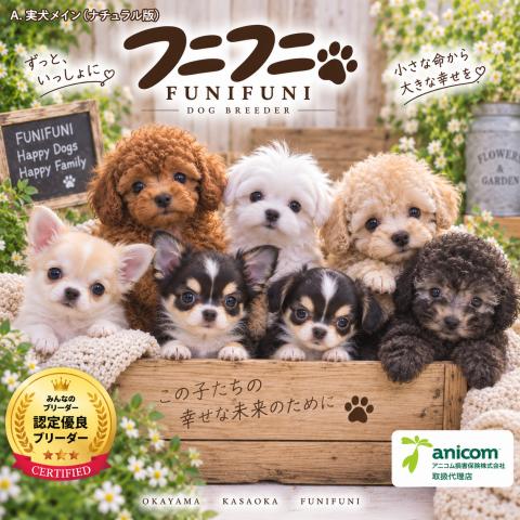 dog breeder house 🐾フニフニ🐾