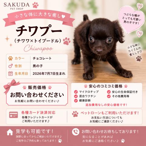 MIXチワプー