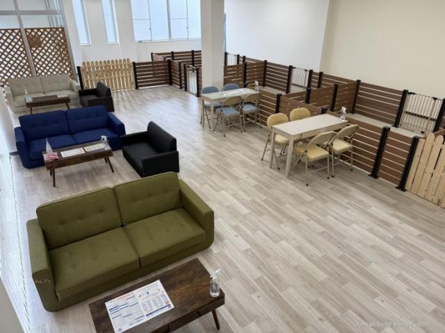パピーヴィレッジ カワセミ（細田 浩平ブリーダー）＠埼玉県所沢市