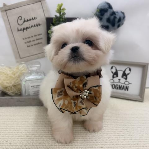 MIX✩.*˚ペキマル✩.*˚の写真3