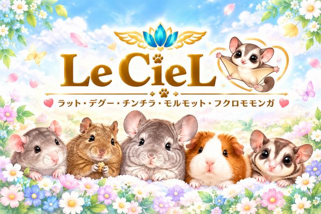 Le ciel (ルシェル)𓄛𓄜