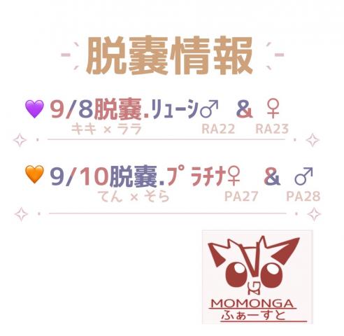 フクロモモンガ 脱囊情報