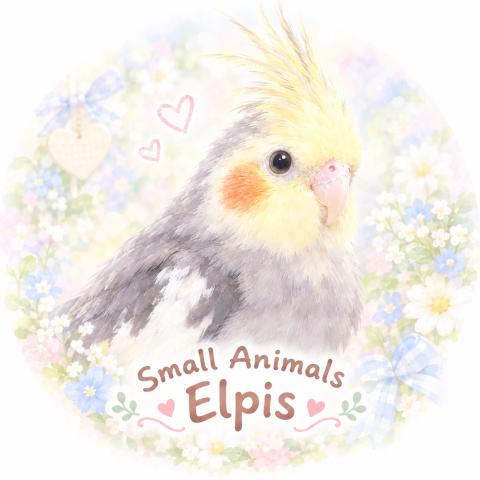 Small Animals Elpis